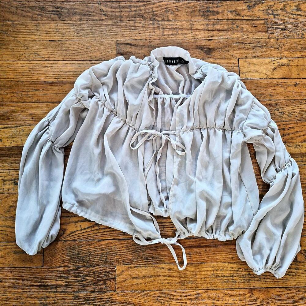 Lioness au revoir sheer blouse
